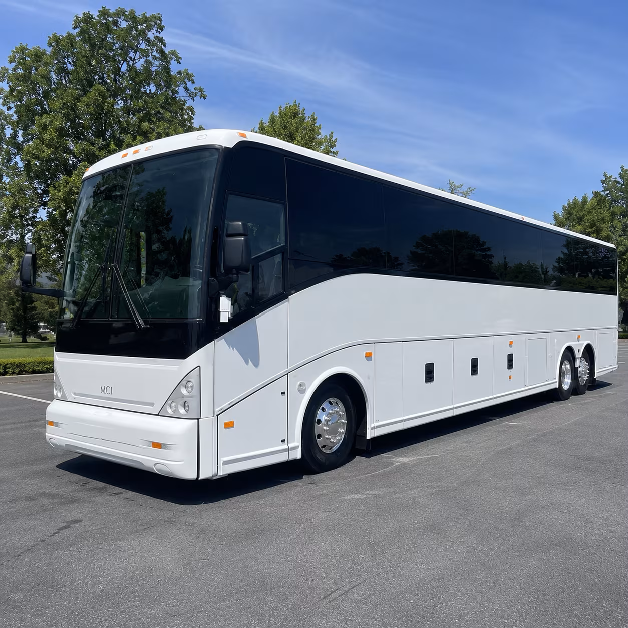 charter buses for bachelor groups heading to anaheim and beyond